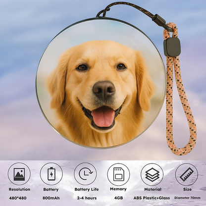 Sfera di cristallo dei ricordi